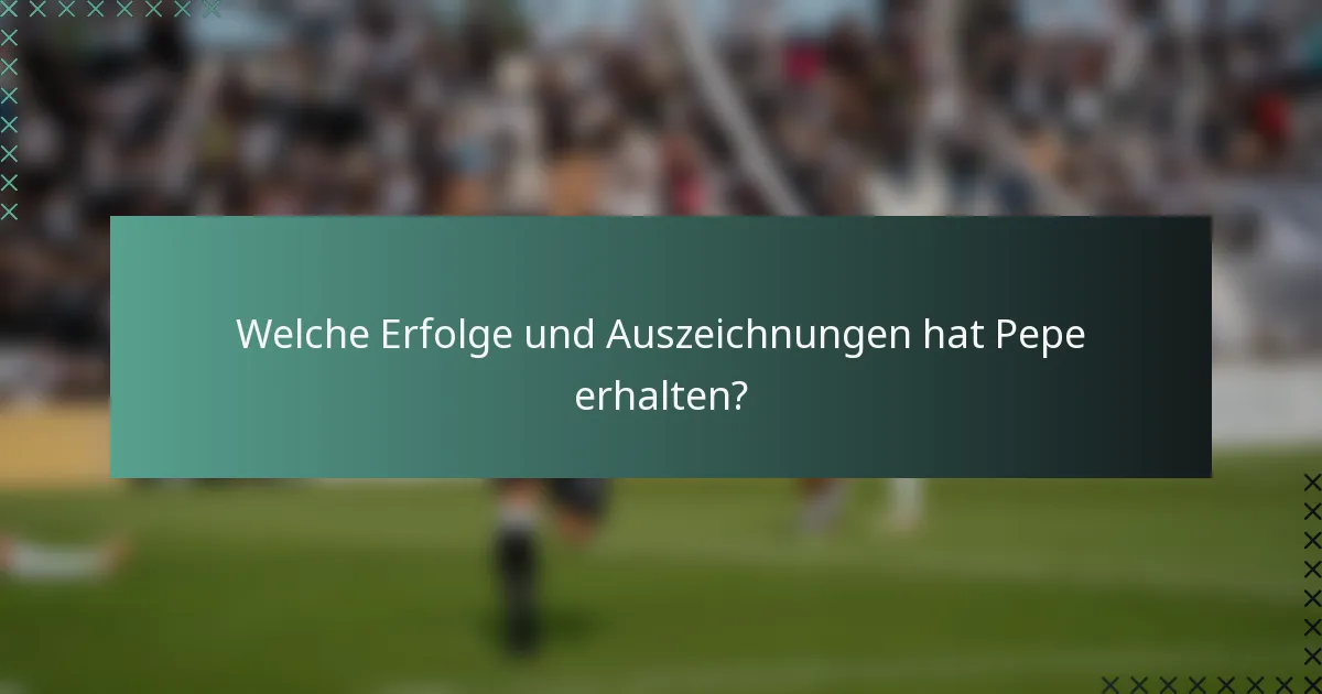 Welche Erfolge und Auszeichnungen hat Pepe erhalten?
