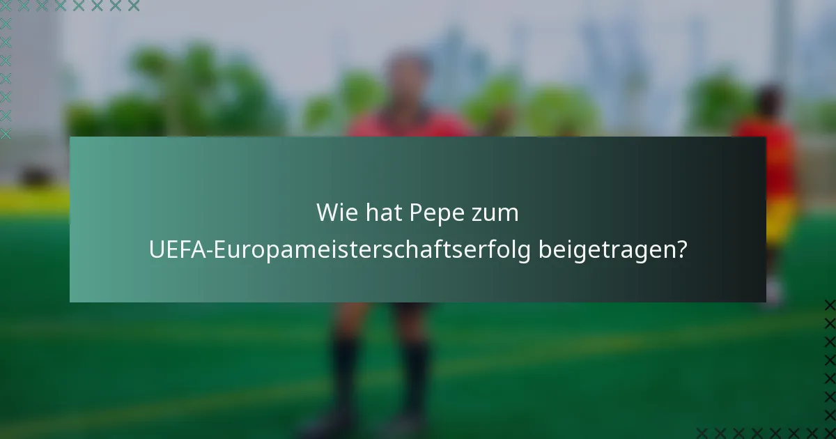 Wie hat Pepe zum UEFA-Europameisterschaftserfolg beigetragen?